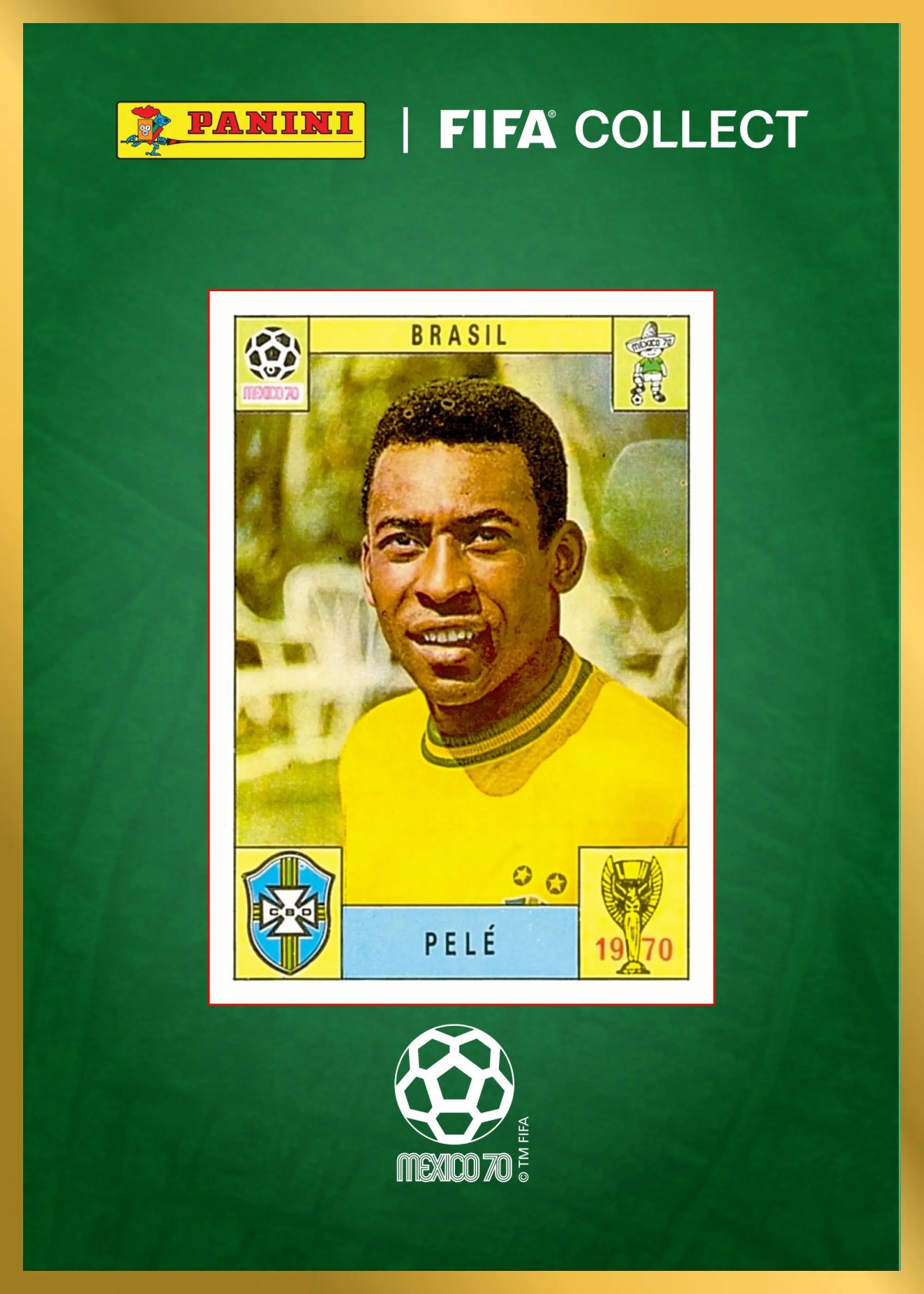 sticker panini da tro thanh mot phan van hoa world cup nhu the nao hinh anh 2