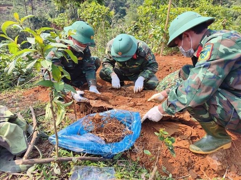 Day manh truyen thong chien dich 500 ngay dem tim kiem, xac dinh danh tinh liet si hinh anh 1