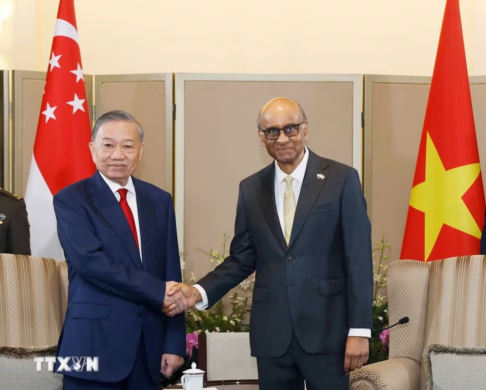 tong bi thu, chu tich nuoc to lam hoi dam voi tong thong singapore hinh anh 1