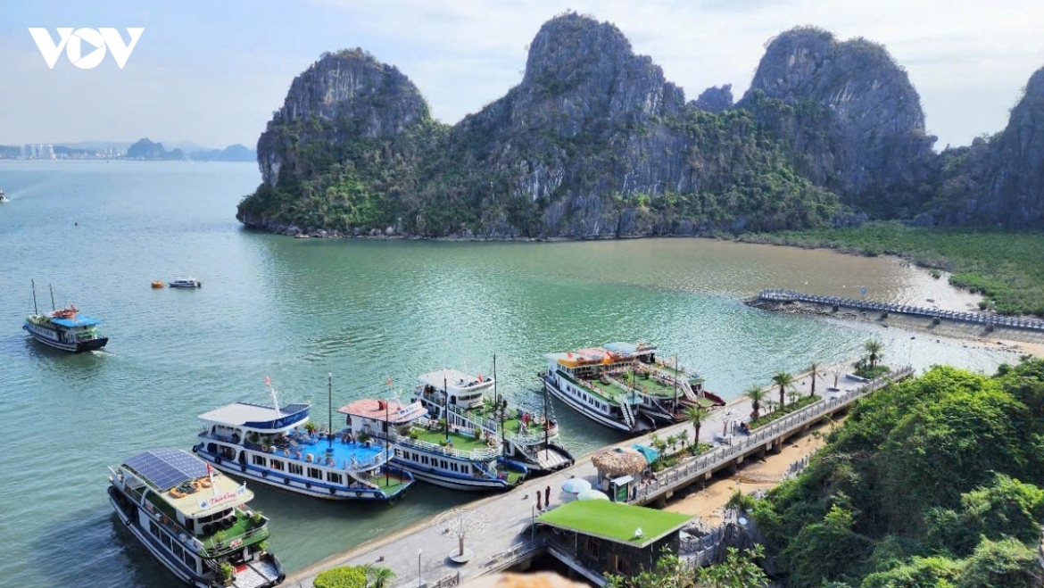 ve may bay tp.hcm - ha noi gia cao, nhieu tour chuyen huong san bay van Don hinh anh 1