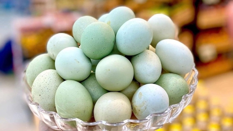 trung ga xanh khac gi trung thuong su that khong phai ai cung biet hinh anh 1