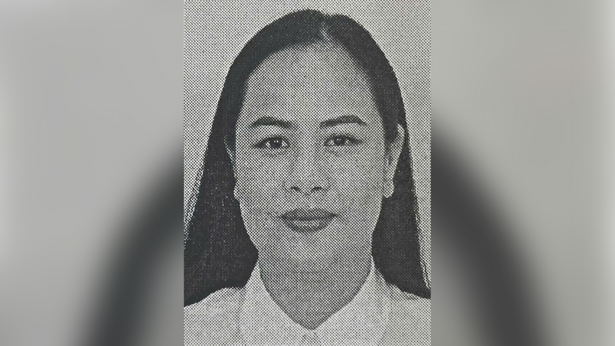 truy tim 2 doi tuong lien quan den cac vu lua dao, chiem doat tien ty o ha noi hinh anh 1