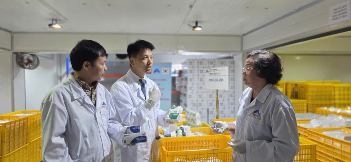 viet nam xuat khau 1,1 trieu lieu vaccine viem da noi cuc sang han quoc hinh anh 3