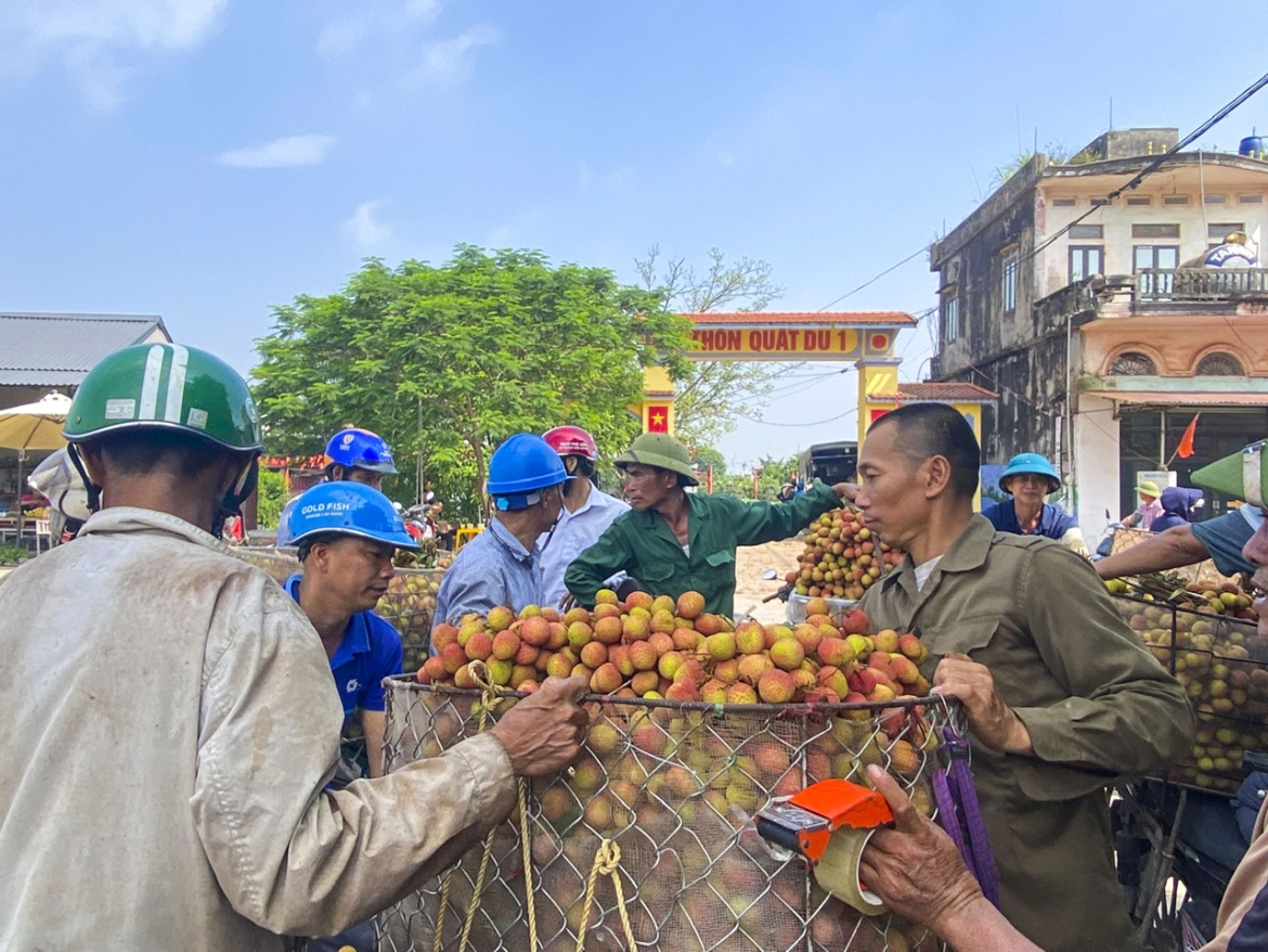 vai chin som mat mua hang dep thanh cua hiem , hang xau bi ep gia hinh anh 6