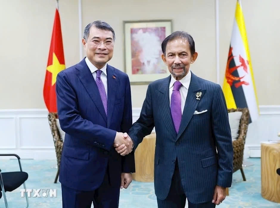 pm le minh hung meets asean leaders to boost bilateral cooperation picture 1