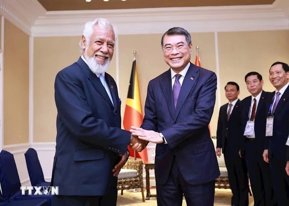 pm le minh hung meets asean leaders to boost bilateral cooperation picture 3