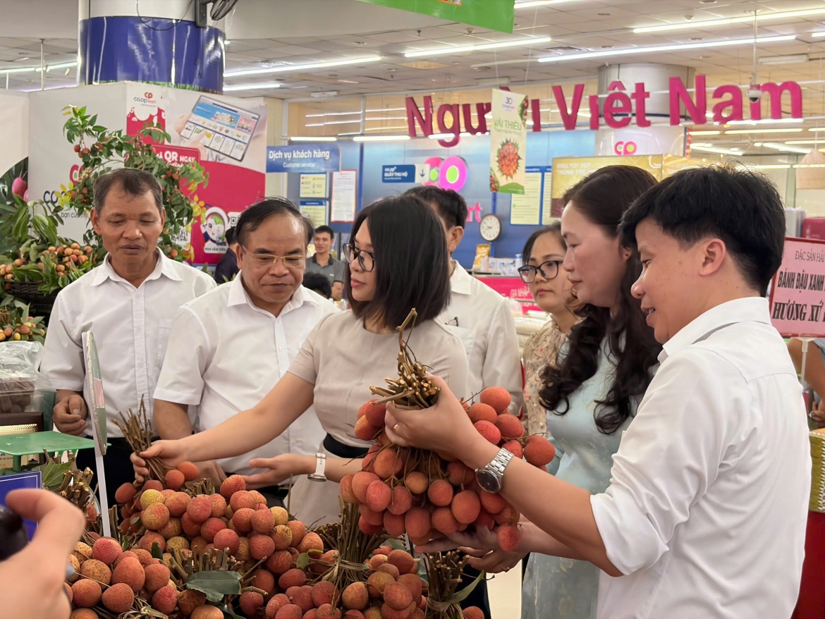 to chuc tuan le ket noi tieu thu nong san va ocop hai phong hinh anh 7