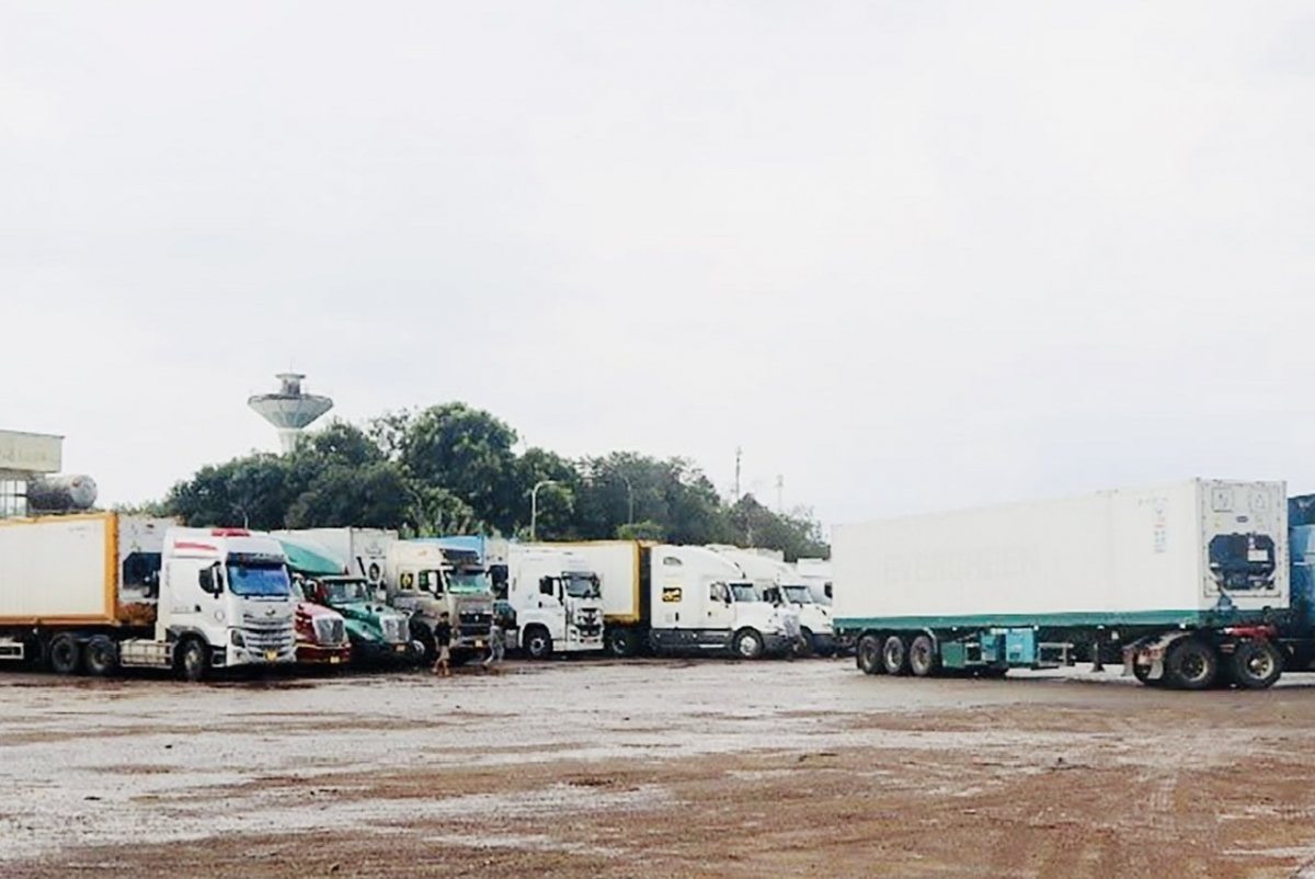 xe container cho sau rieng un u o dau giay chinh quyen khan cap giai toa hinh anh 1