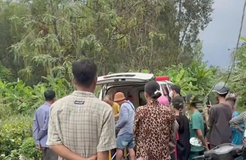 Người đàn ông bị sét đánh tử vong khi đang cưa cây thuê