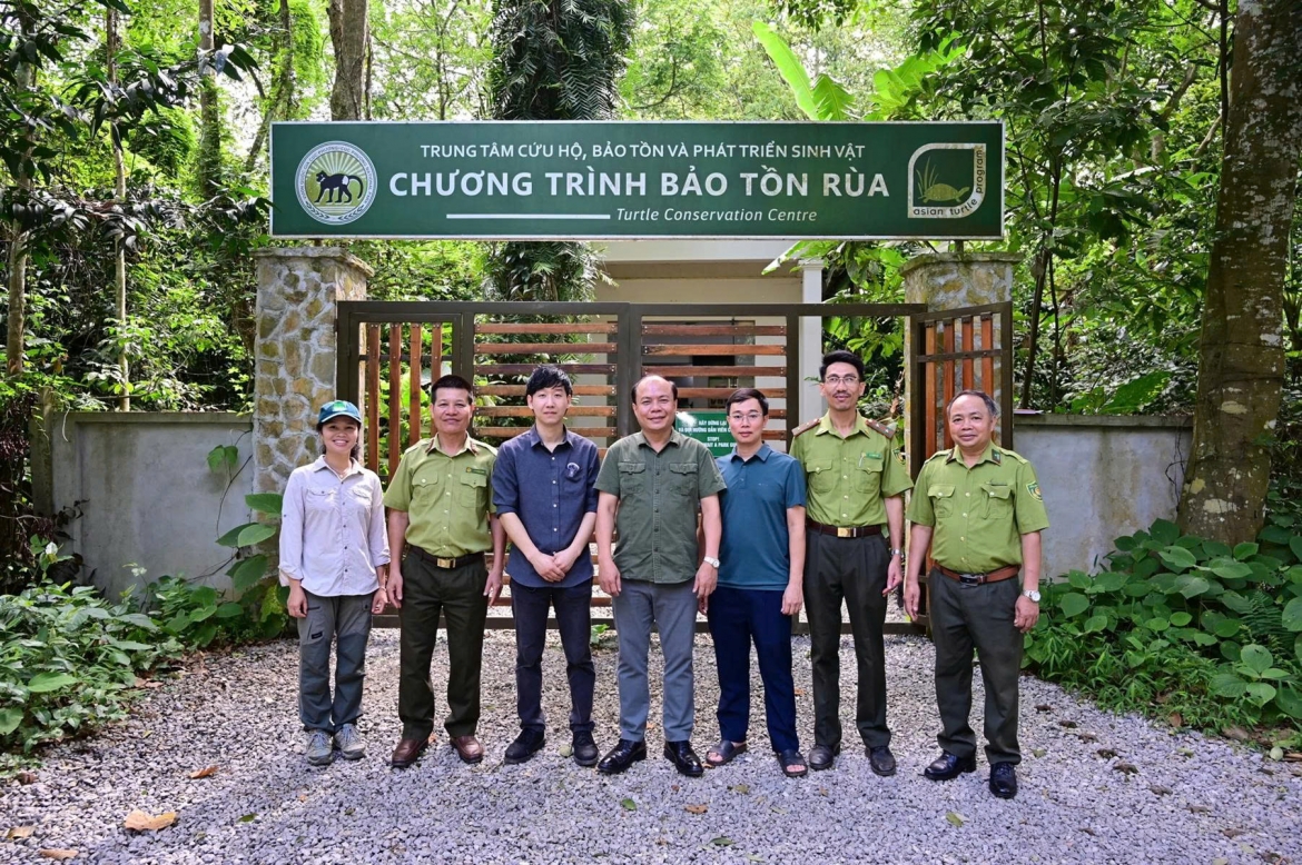 28 ca the rua quy hiem hoi huong tu han quoc ve vuon quoc gia cuc phuong hinh anh 4