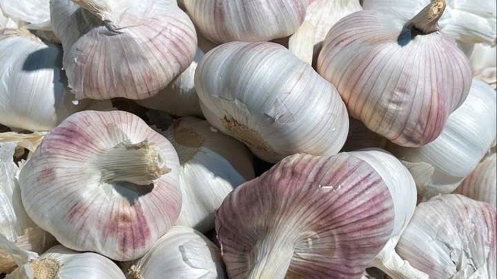 toi vo tim co tot hon vo trang hinh anh 2