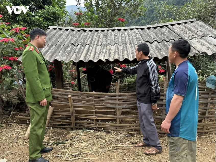 son la phan dau ra khoi dien trong diem ma tuy cua ca nuoc vao nam 2030 hinh anh 4