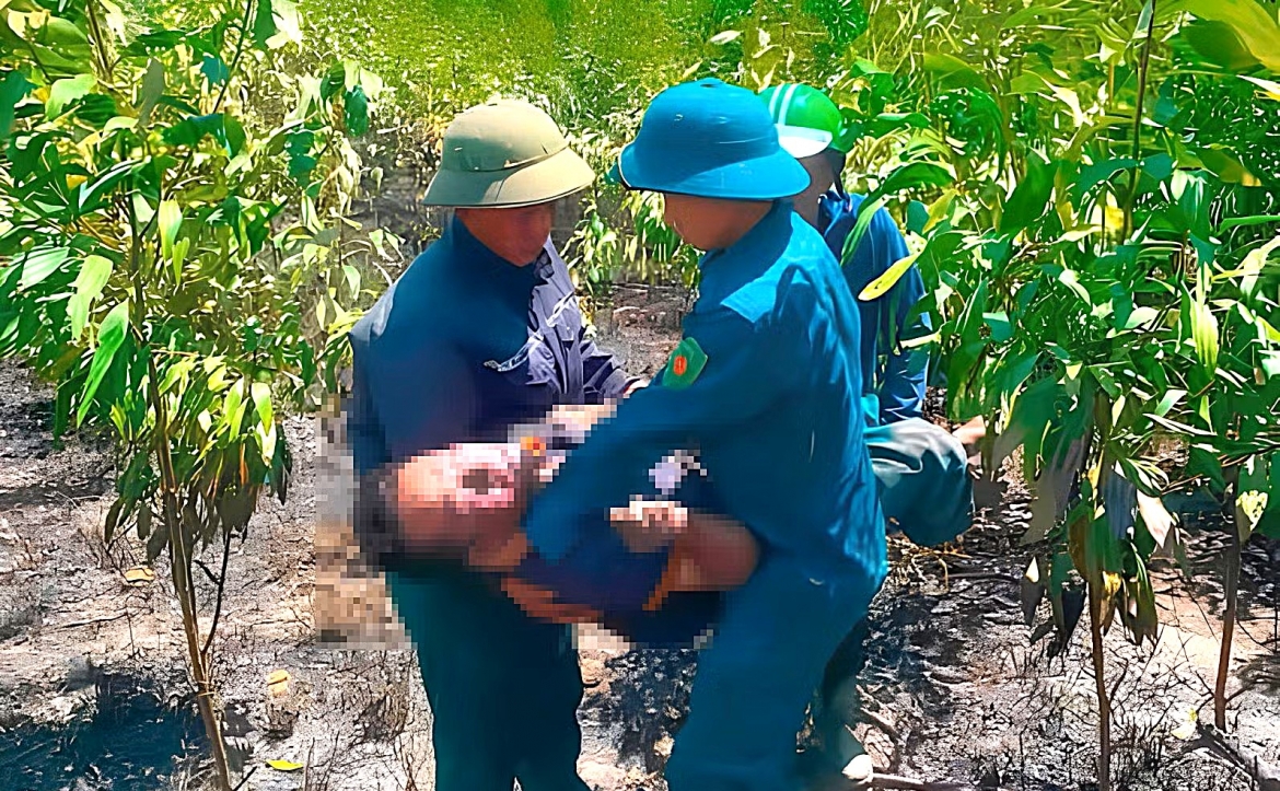 hai vo chong tu vong tai khu vuc chay rung o ha tinh hinh anh 1