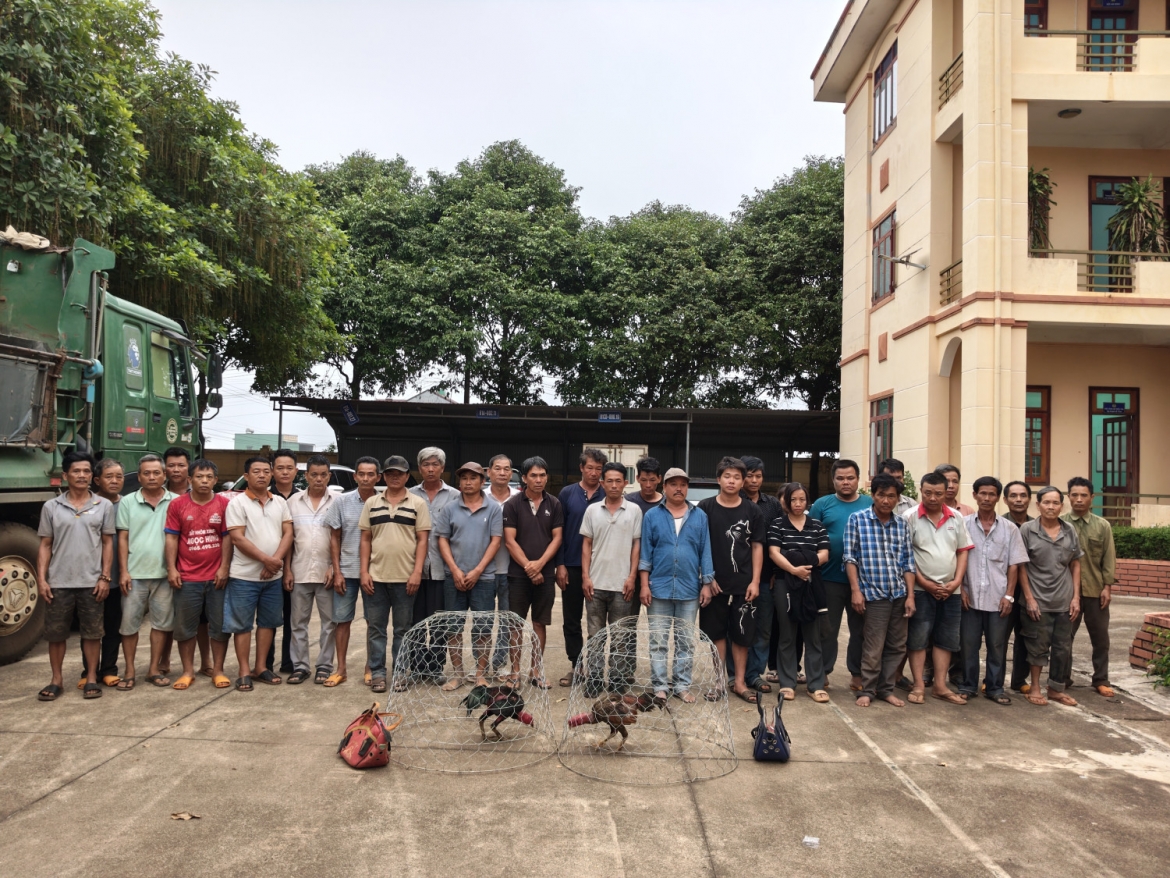 gia lai Dot kich truong ga, bat qua tang 31 doi tuong danh bac hinh anh 1