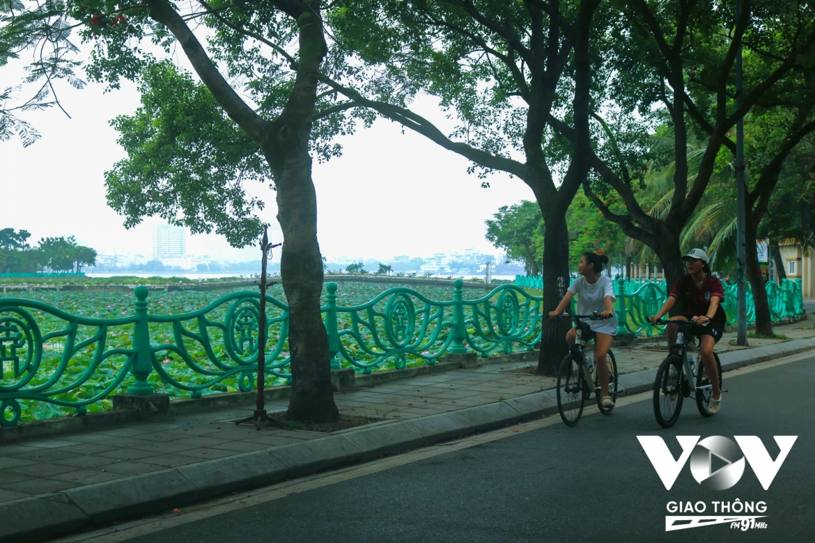 mua sen trong tiem thuc cua nguoi ha noi hinh anh 6