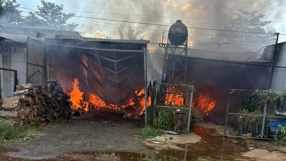 chay kho chua cui, lan sang 2 nha dan o Dong nai hinh anh 1