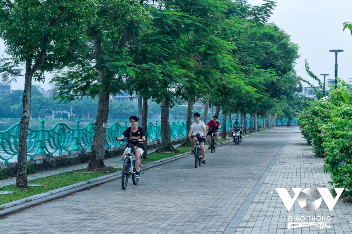 mua sen trong tiem thuc cua nguoi ha noi hinh anh 8