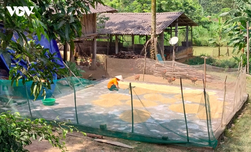 tuyen quang phan dau khong con ho ngheo vung dong bao dan toc thieu so hinh anh 1