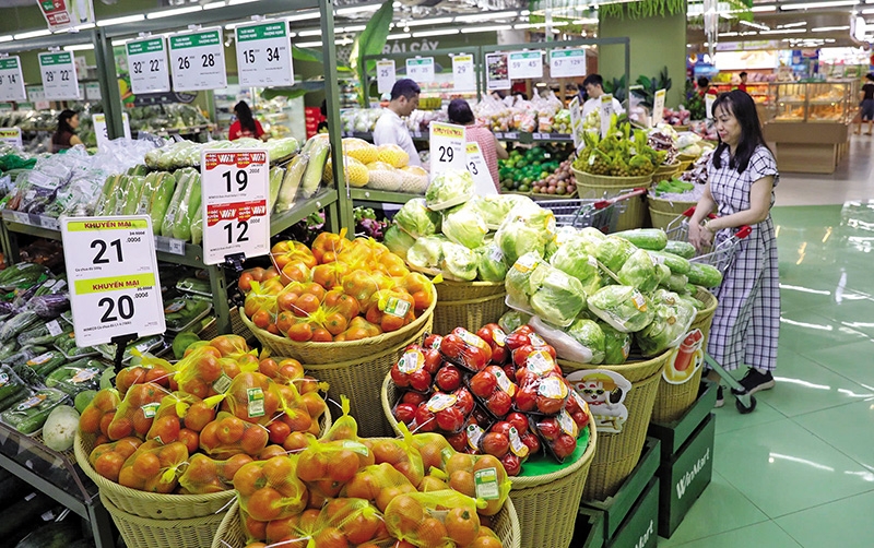 economy shows resilience as vietnam pursues double-digit growth target picture 1