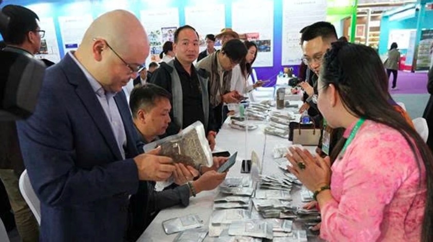 coffee enterprises of vietnam and china promote cross-border value chain picture 1