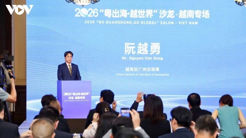conference introduces vietnam s investment environment to guangdong businesses picture 1