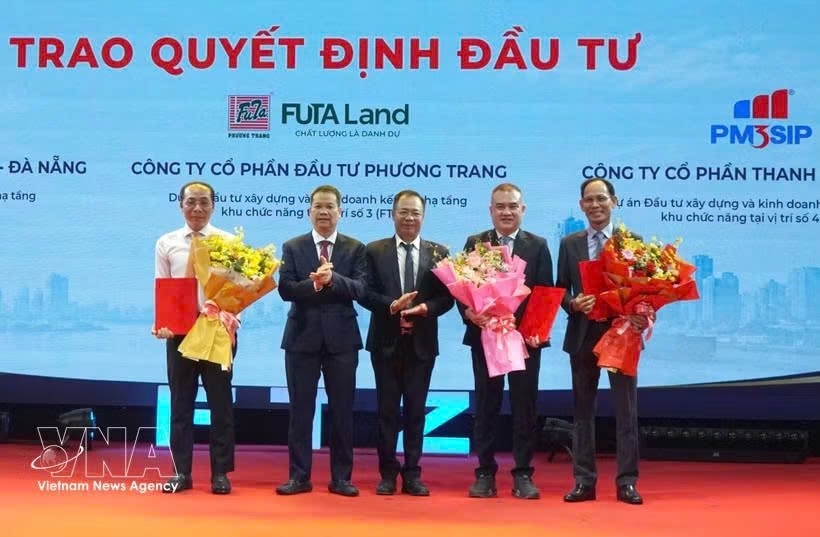 da nang promotes investment links for pioneering free trade zone picture 1