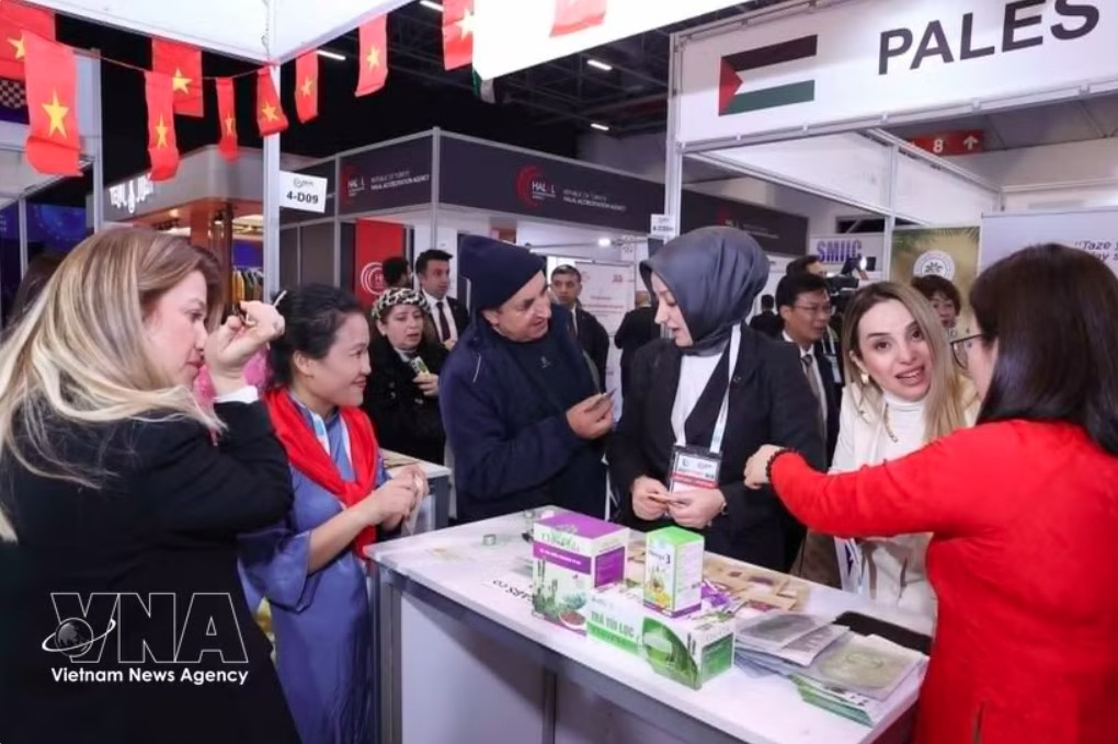 halal market offers vietnam pathway to sustainable growth, global competitiveness picture 1