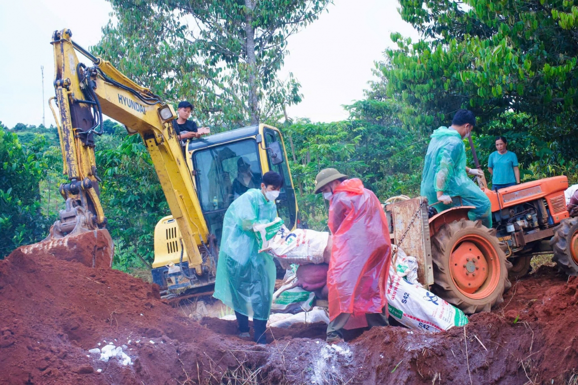 tieu huy dan lon cua mot gia dinh o lam Dong do mac dich ta lon chau phi hinh anh 1