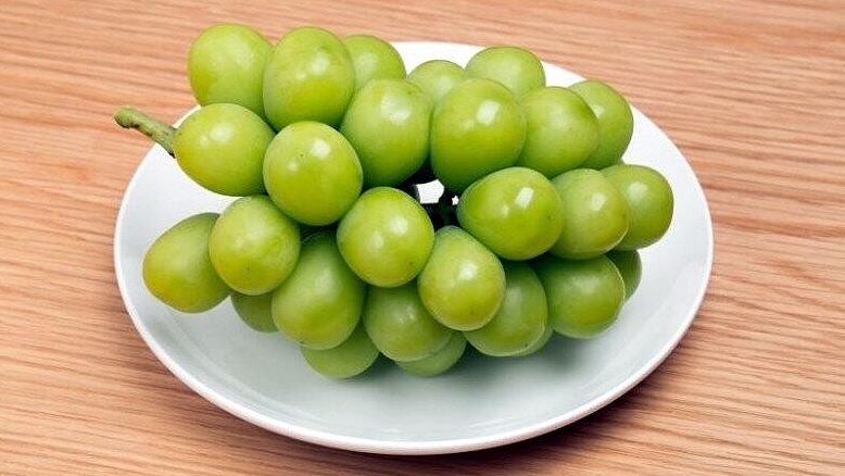 Trồng nho mẫu đơn 400.000 đồng/kg: hướng đi mới cho vùng đất khó