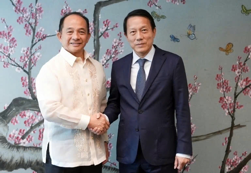 public security minister meets philippine national security adviser picture 1