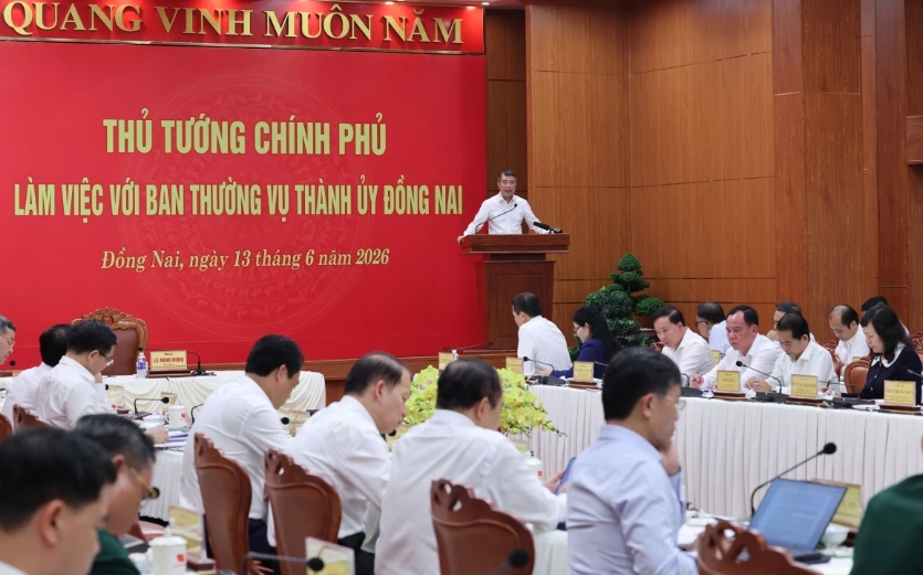 thu tuong Dong nai khan truong sap xep thon, to dan pho, ra soat bo tri can bo hinh anh 1