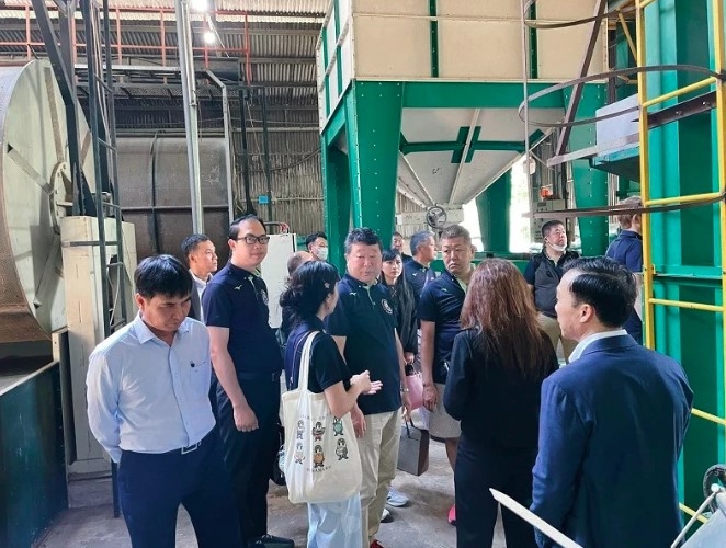 japanese buyers explore lam dong supply chain, eye coffee and tea imports picture 1