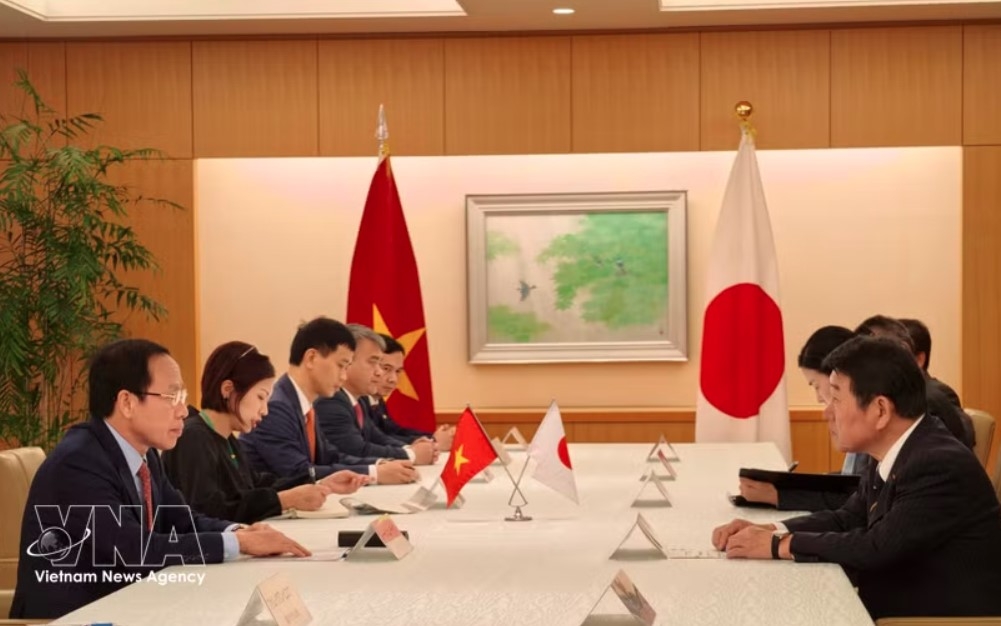 vietnam, japan seek to deepen all-round relations picture 1
