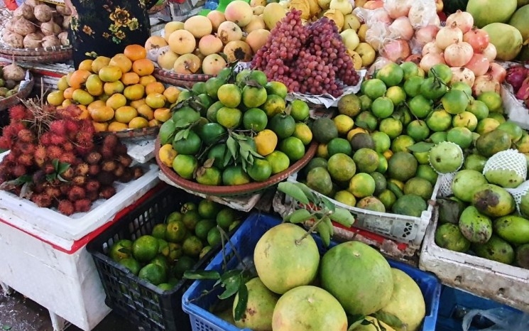 vietnamese fruit sees growing presence in chinese market picture 1
