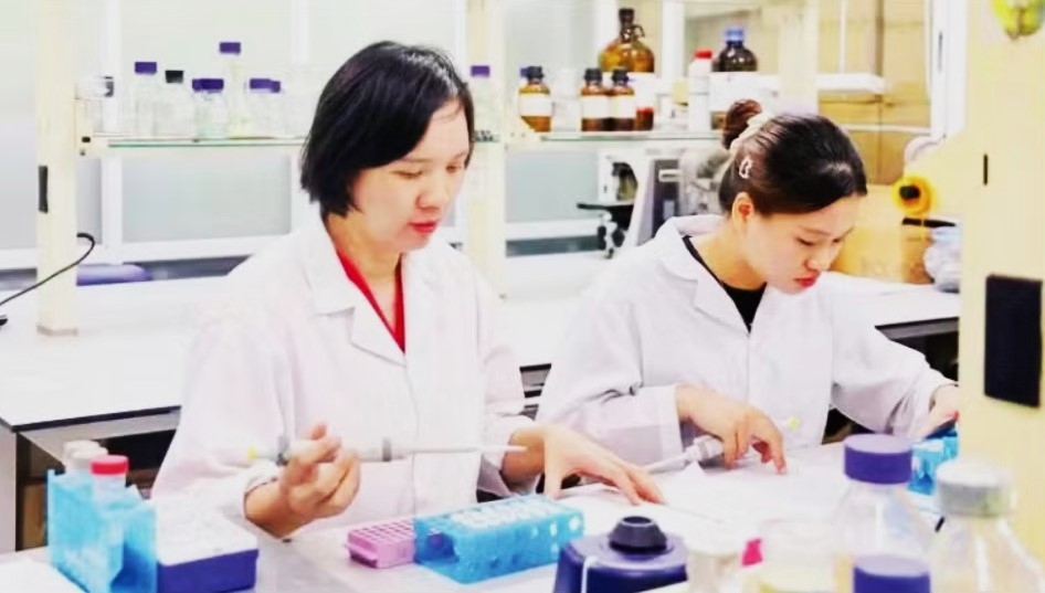 vietnamese scientists develop nanovitexin from mung bean husks to support diabetes picture 1