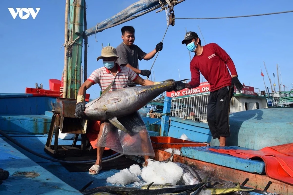 vietnam removes institutional bottlenecks to unlock blue economy growth picture 3