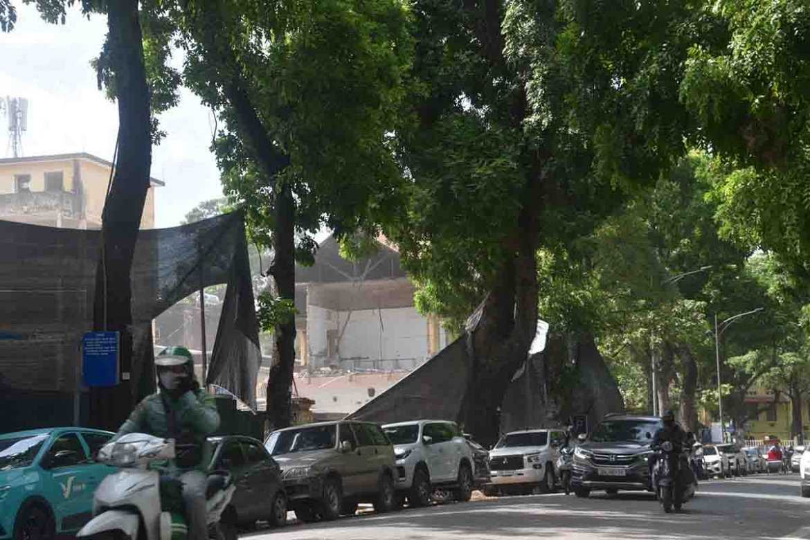 tap the duc voi bui o vuon hoa pasteur, ha noi hinh anh 1