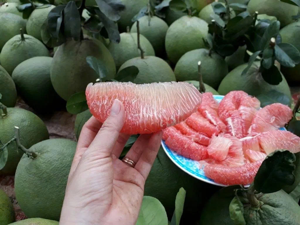 khong chi ngon ngot, buoi da xanh con mang lai 8 loi ich bat ngo cho suc khoe hinh anh 1