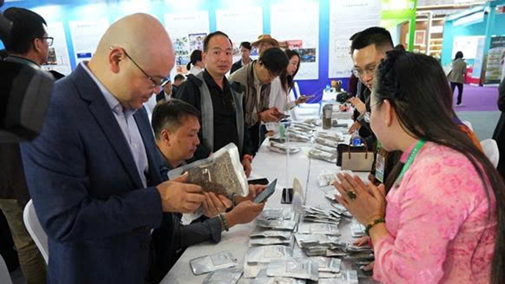 viet nam - trung quoc thuc day chuoi gia tri ca phe xuyen bien gioi hinh anh 1