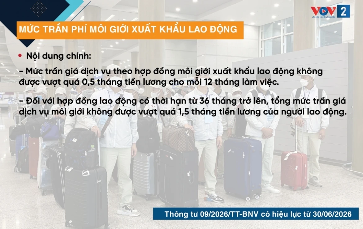 quy dinh moi ve xang e10 va loat chinh sach phap luat khac hieu luc tu 6 2026 hinh anh 8