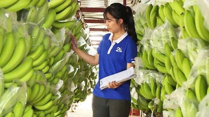 Cuộc đua mới của rau quả Việt tại thị trường tỷ dân