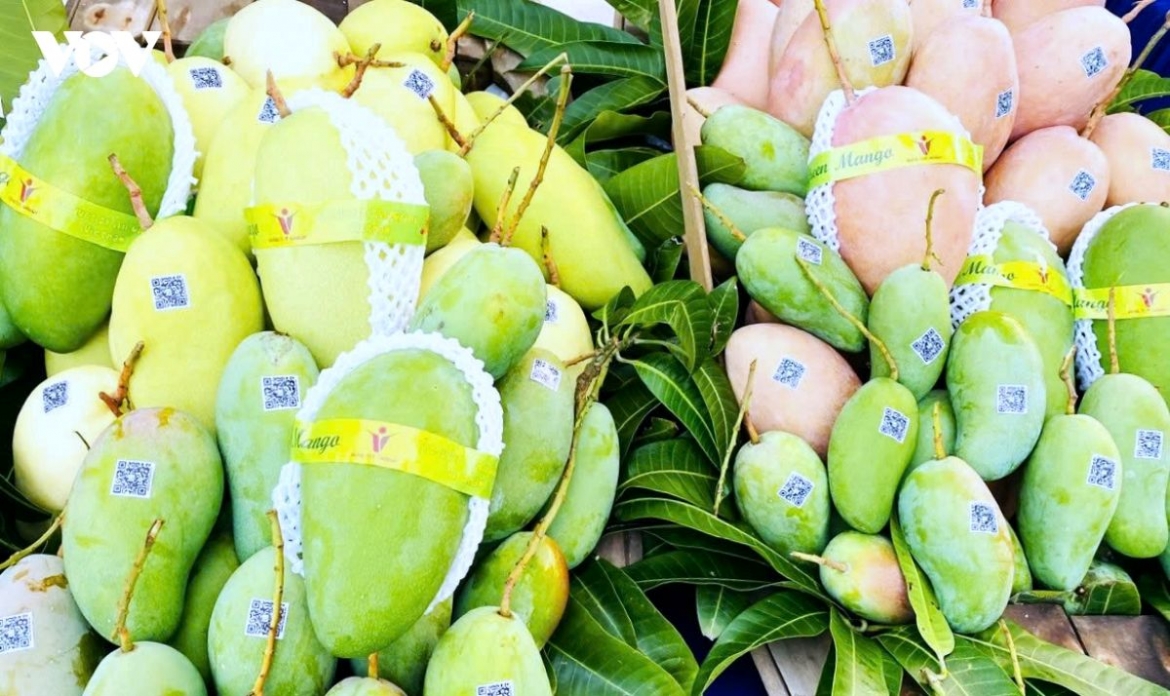 agricultural businesses face growing trade remedy challenges picture 2