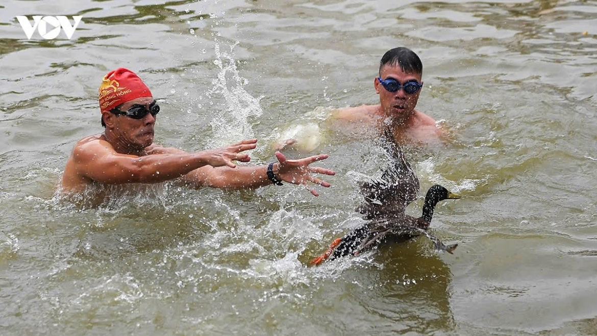 duck-catching contest livens up hanoi s chem communial house festival picture 5