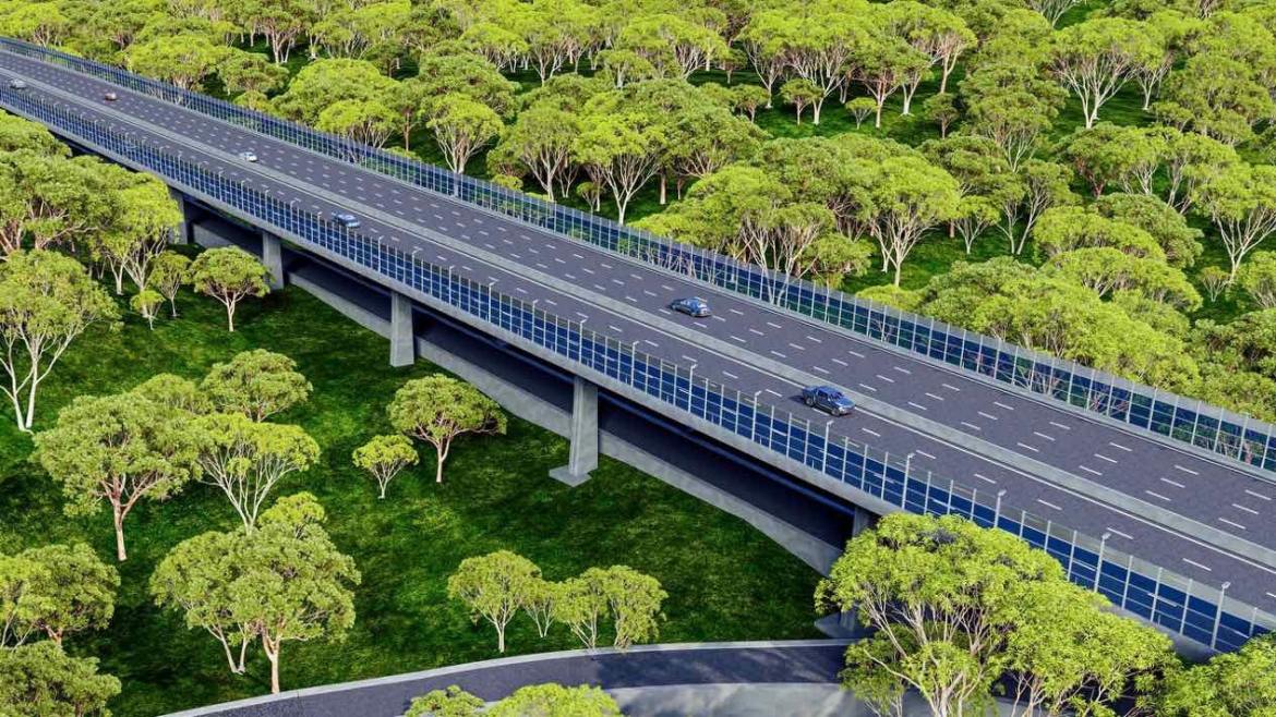 Duong tren cao xuyen rung Dong nai, thiet ke dac biet cho voi va dong vat hoang da hinh anh 2