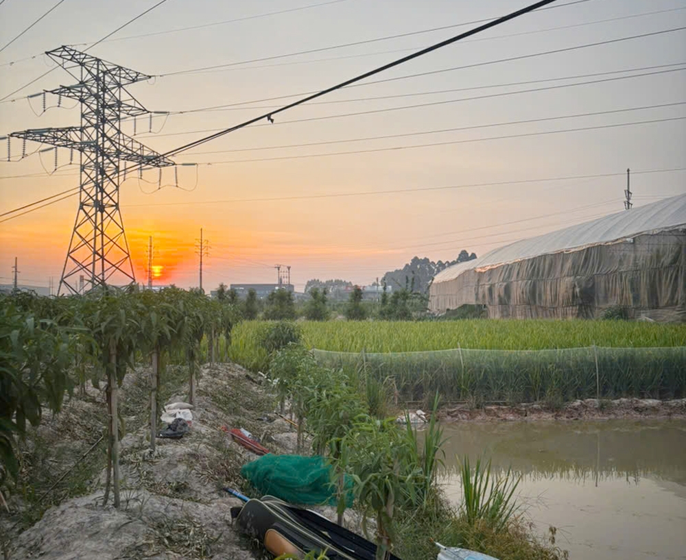 cau ca duoi duong dien cao the, nguoi dan ong tu vong do dien giat o bac ninh hinh anh 1