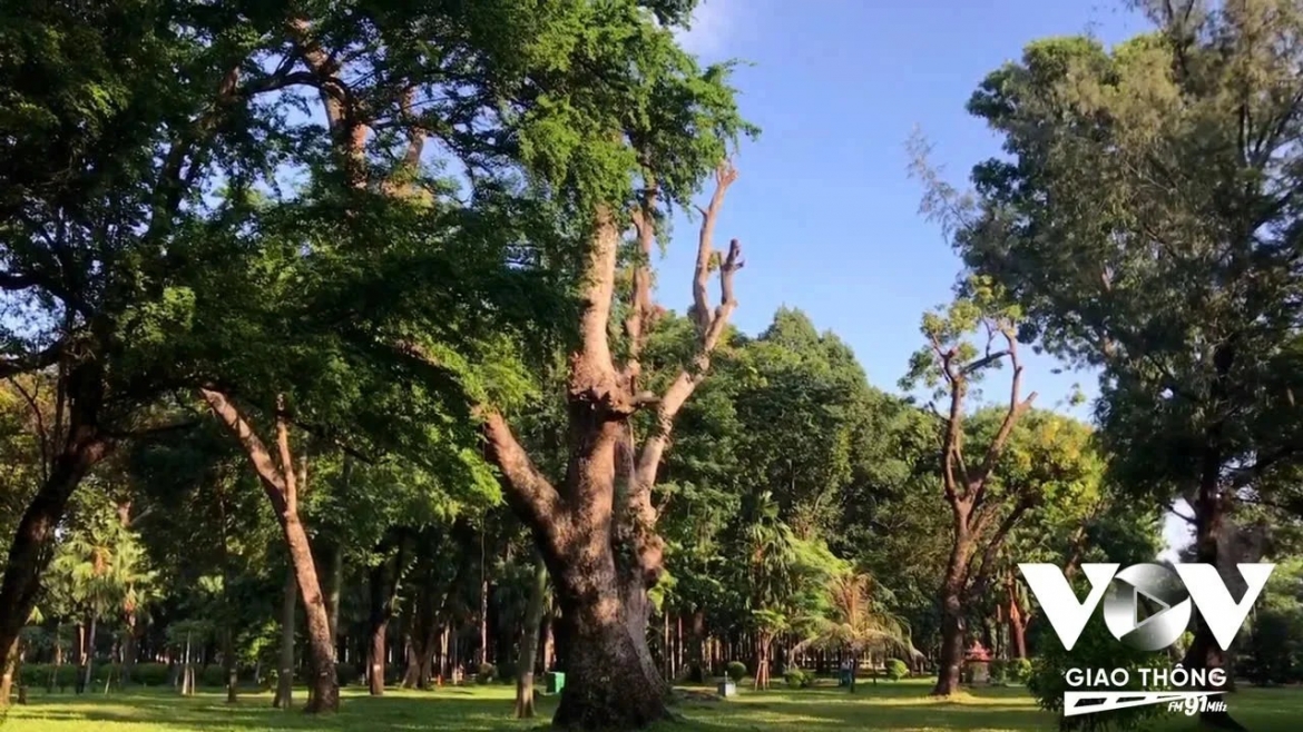 nghe con rach ke chuyen thang nam hinh anh 4