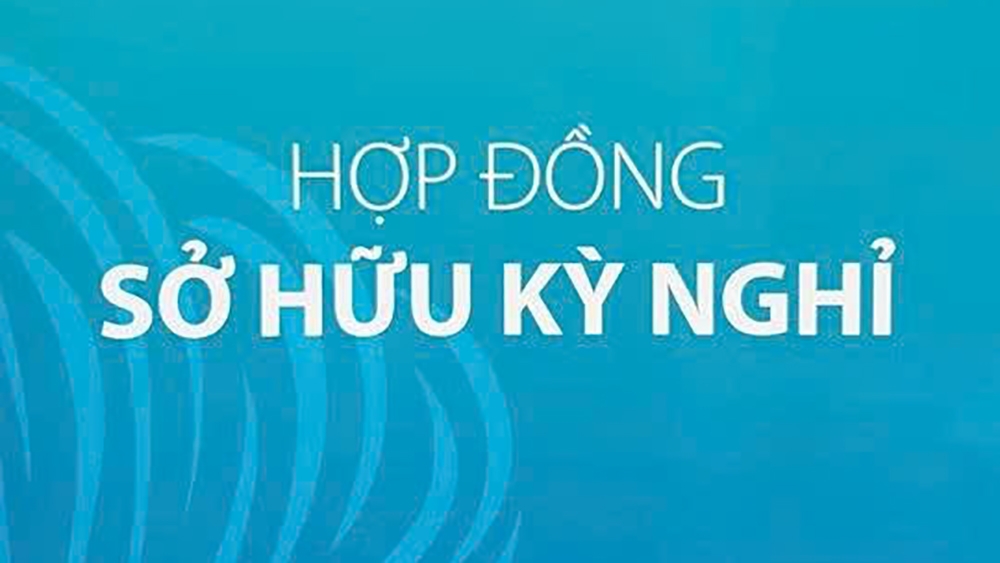 hop dong ky nghi lo hong phap ly hay su buong long quan ly hinh anh 2
