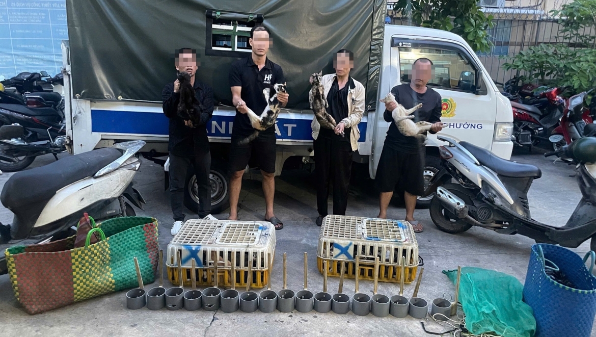 triet pha duong day trom va tieu thu meo, giai cuu khoang 400 con meo con song hinh anh 1