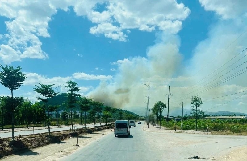 huy dong hon 500 nguoi tham gia chua chay rung tai phuong hai binh, thanh hoa hinh anh 2