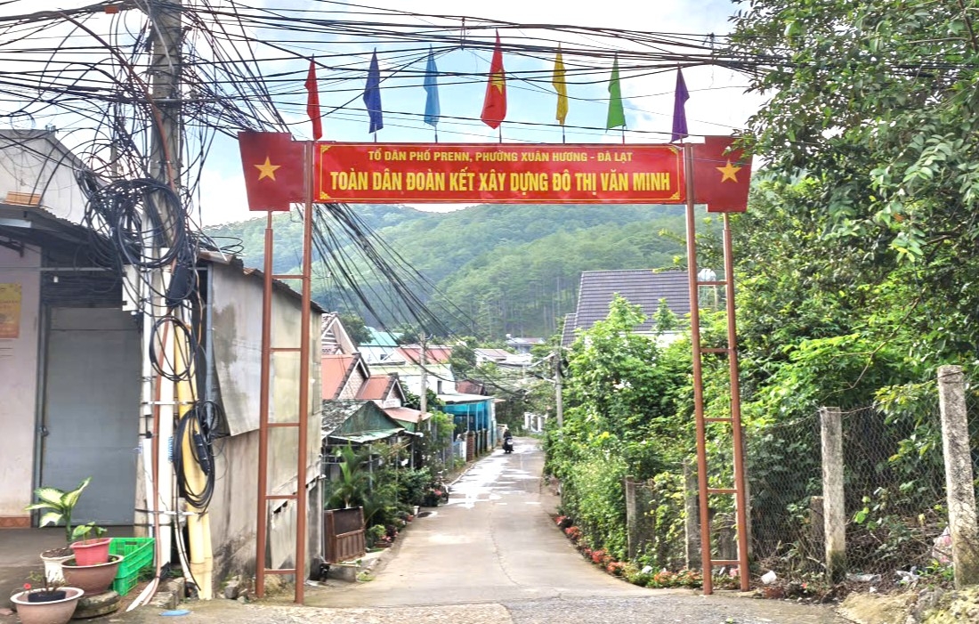 lam Dong du kien giam hon 50 thon, to dan pho sau sap xep hinh anh 1